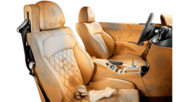 Химчистка салона Одесса